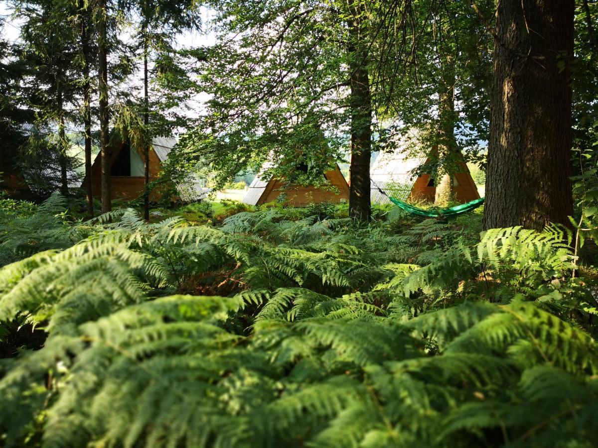 Glamping Forest Edge 캄니크 외부 사진